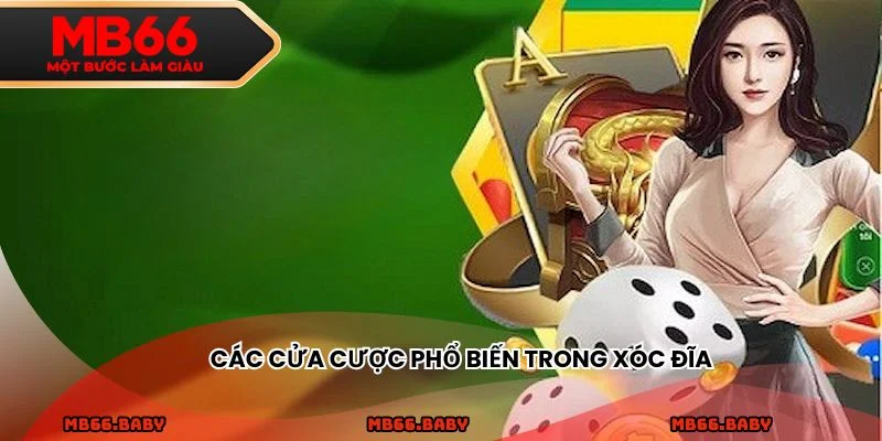 Các cửa cược phổ biến trong xóc đĩa