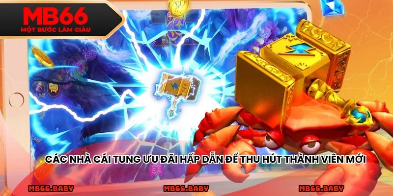 Các nhà cái tung ưu đãi hấp dẫn để thu hút thành viên mới