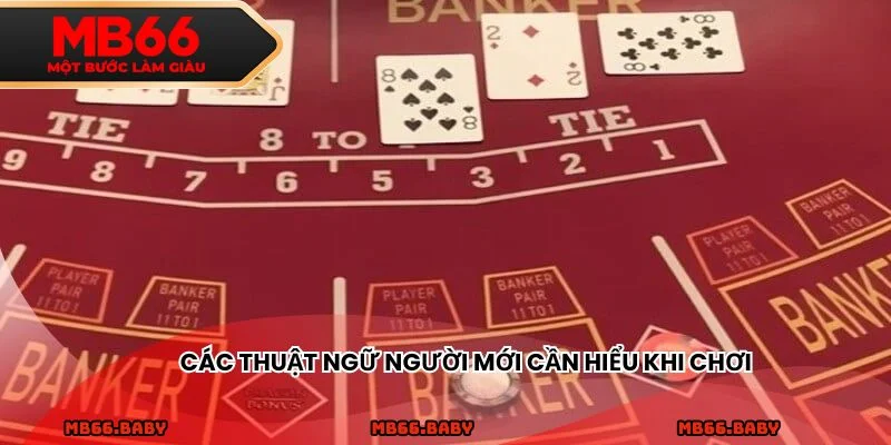 Các thuật ngữ người mới cần hiểu khi chơi
