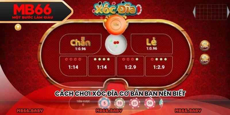 Cách chơi xóc đĩa cơ bản bạn nên biết