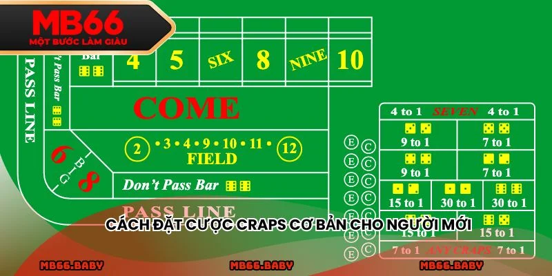 Cách đặt cược Craps cơ bản cho người mới