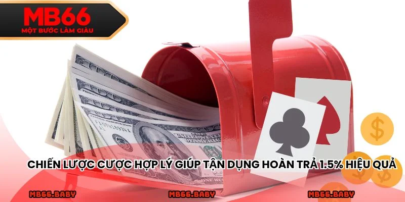 Chiến lược cược hợp lý giúp tận dụng hoàn trả 1.5% hiệu quả