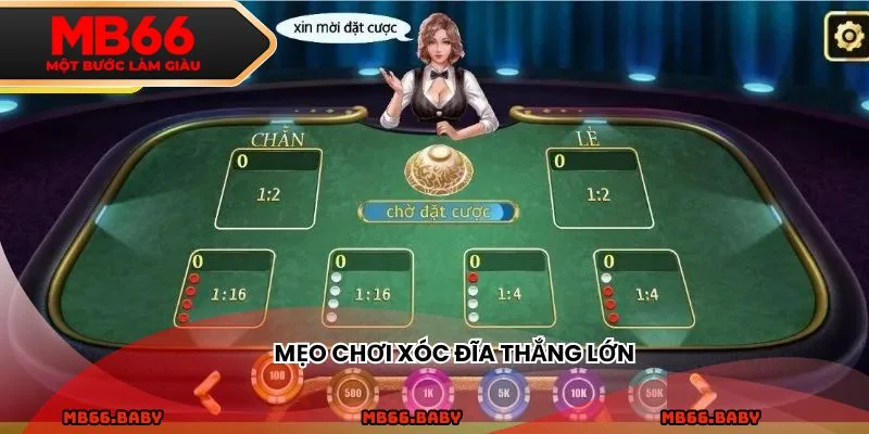 Mẹo chơi xóc đĩa thắng lớn